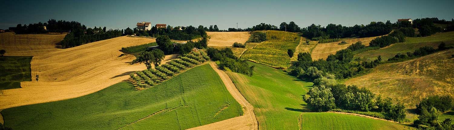 Paesaggio delle colline romagnole