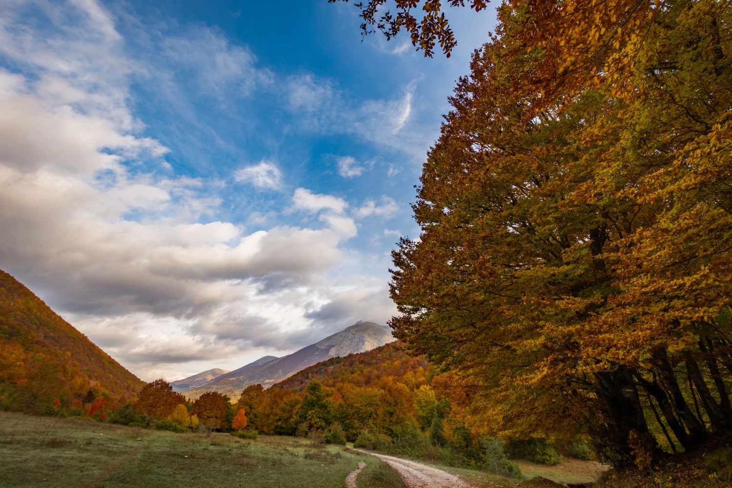 Parco Nazionale Abruzzo